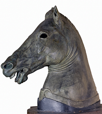  Cavallo Medici